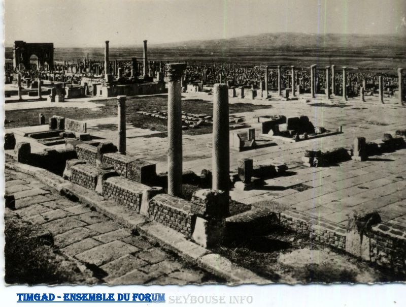 Envoy� par M. C. Ciantar